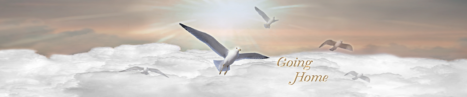 P FC 102 BZ Going Home Bronze Clouds FULL COUCH PRINT